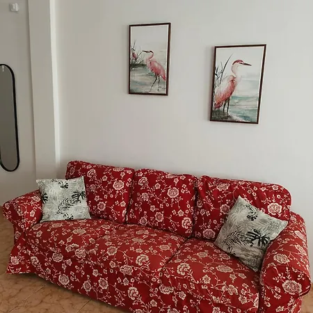 Apartment Vivienda Grazia